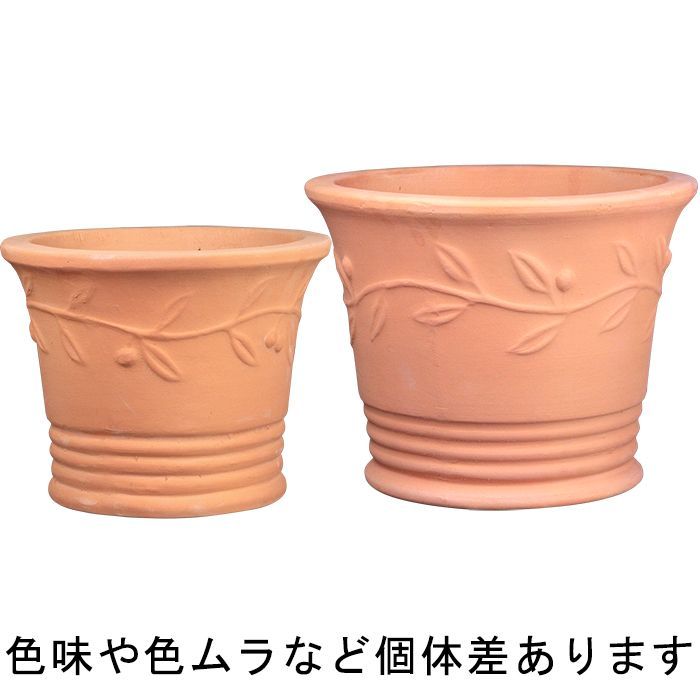 オリーブの木 約2.5メートル テラコッタ鉢 新品】直径38cmと29.5cm 植木鉢 おしゃれ オリーブポット 素焼き