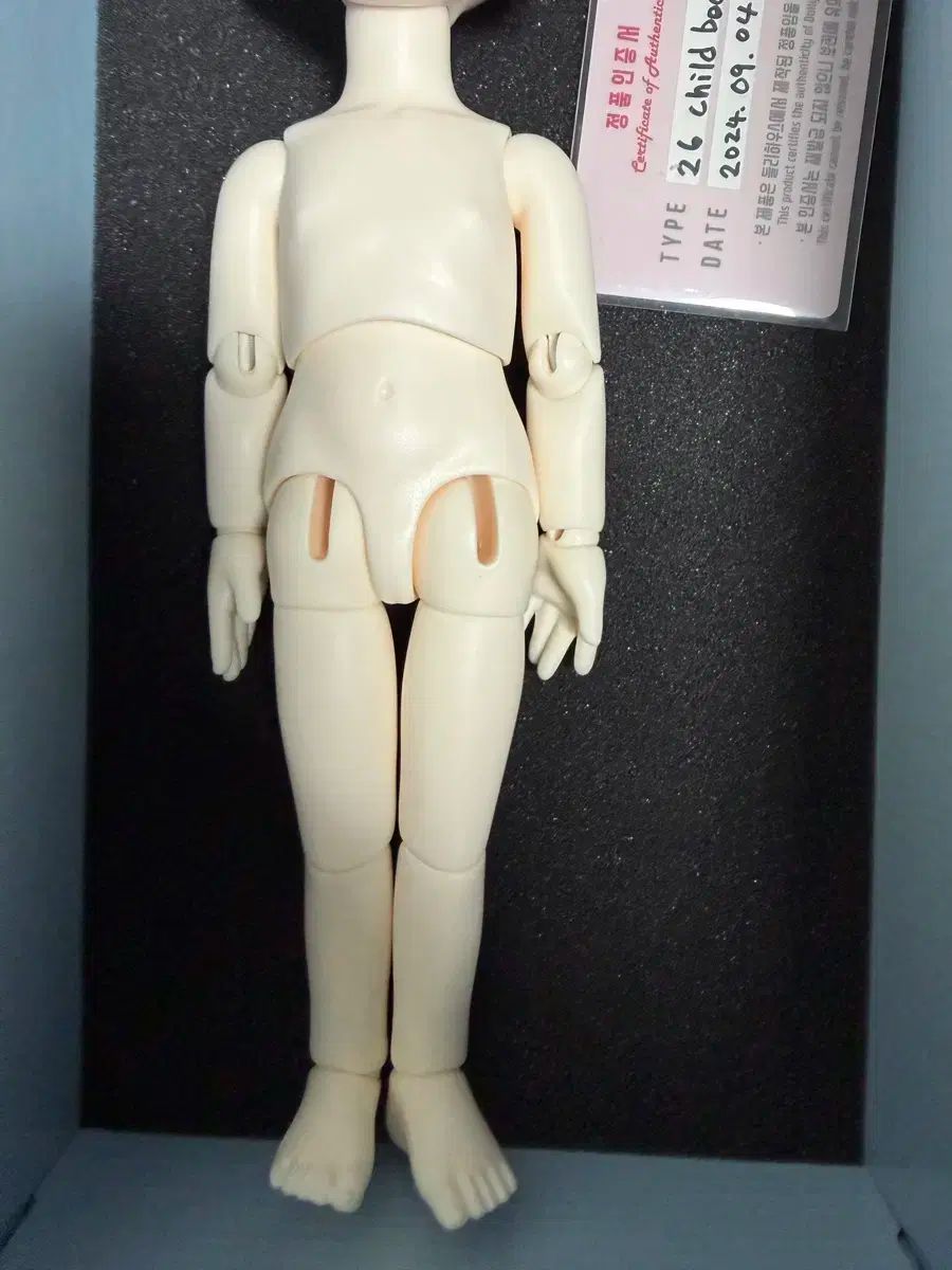 ドリーハウス 26cm 美白ボディ 検索ワード リナシュシュ フルピーチ スイードール ChicaBi doll