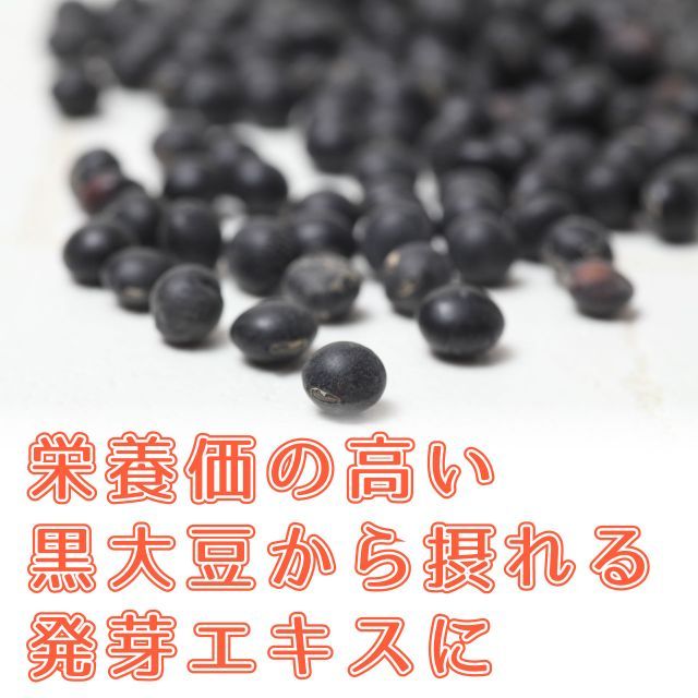 昆布 黒大豆エキス