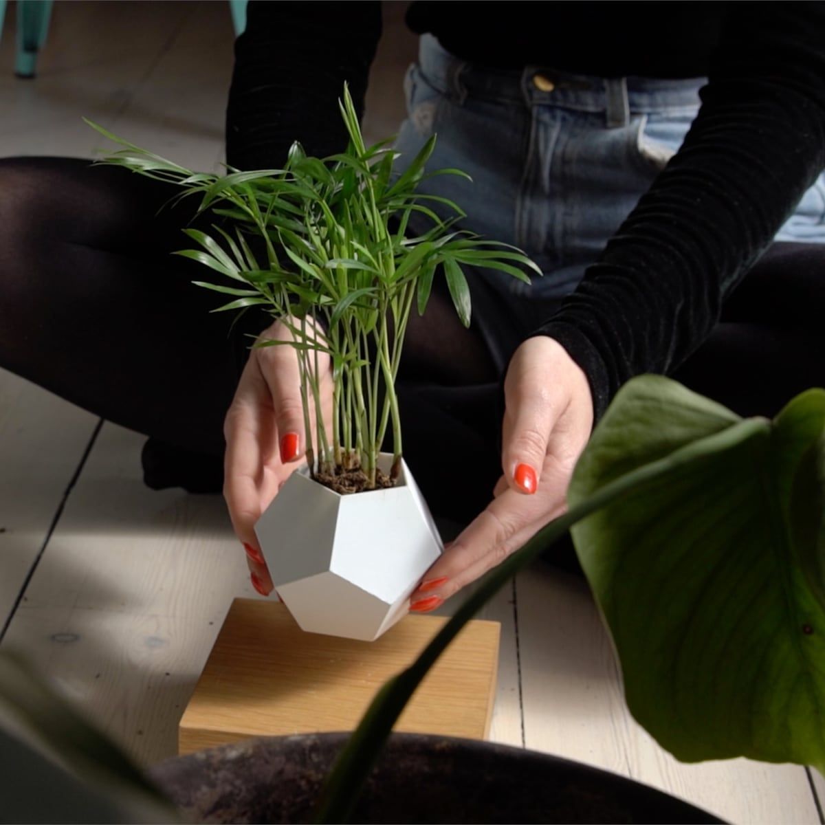 空中に植物を浮かせる 新しいプランター 空中に植物を浮かせる 新しいプランター
