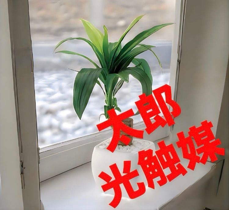 人気ランキング1位～（売れ筋商品） 光触媒 人工観葉植物 ウォールグリーン フェイクグリーン フラワー・ガーデニング