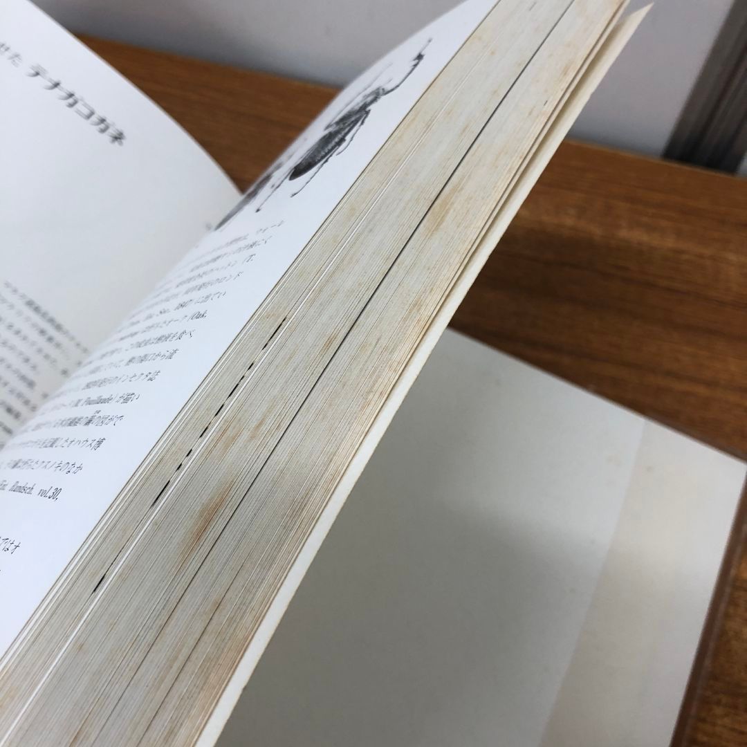 △01)【同梱不可】図説世界の昆虫 1/東南アジア編 1/阪口浩平 △01)【同梱不可】図説世界の昆虫 1/東南アジア編 1/阪口浩平