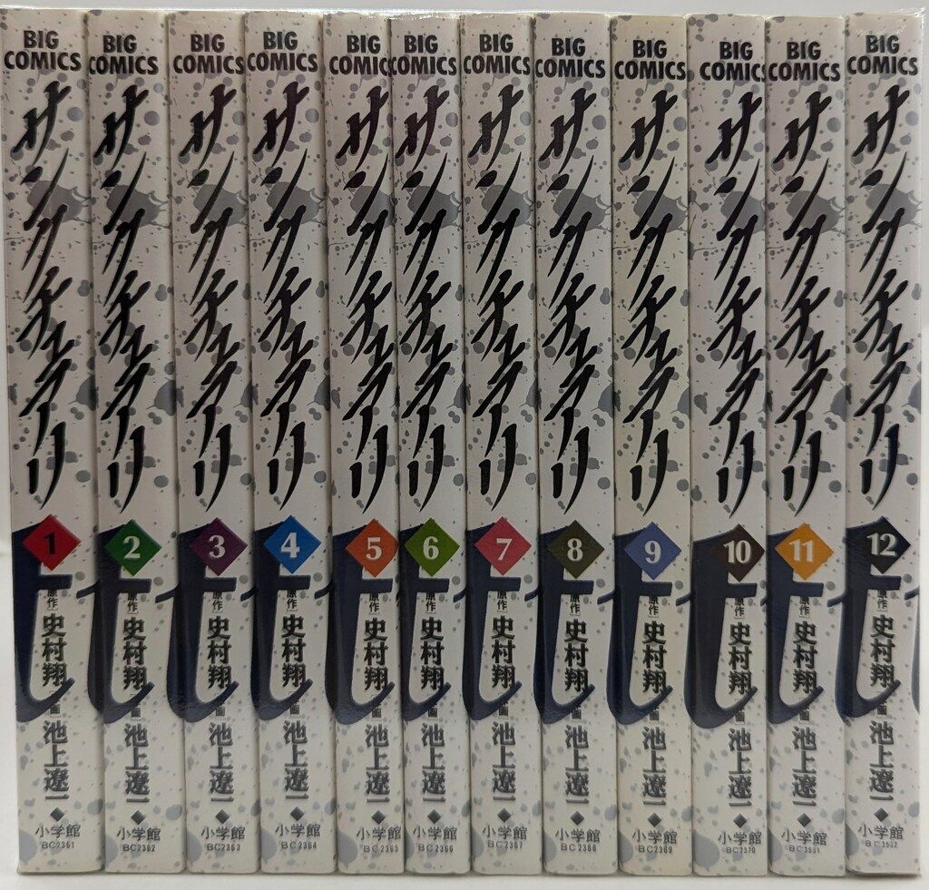 新作入荷，定番 小学館 ビッグコミックス 池上遼一 !!)サンクチュアリ 全12巻 セット 青年漫画