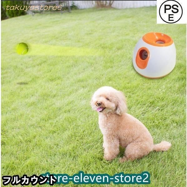 小型犬
