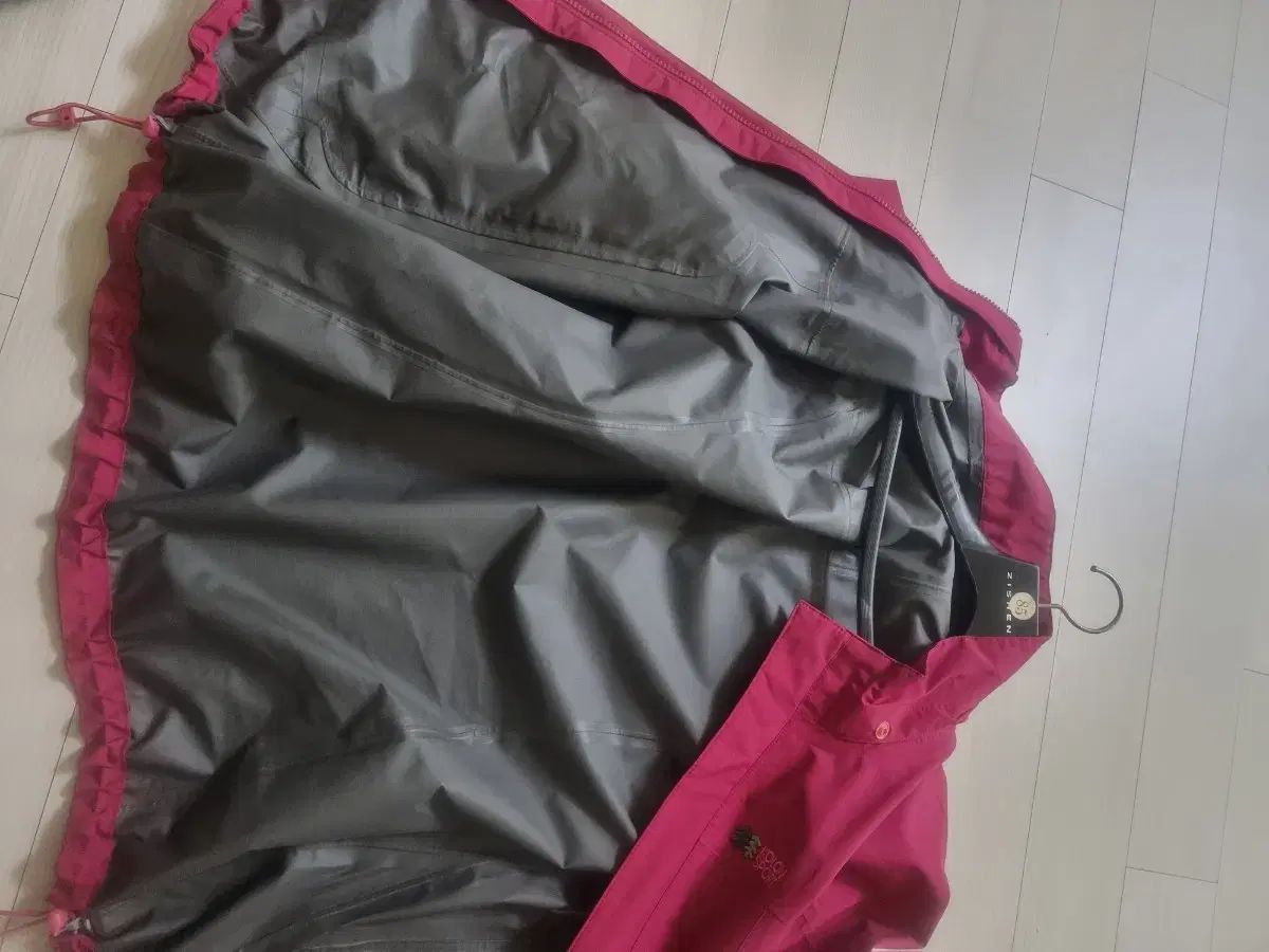 Kolon
