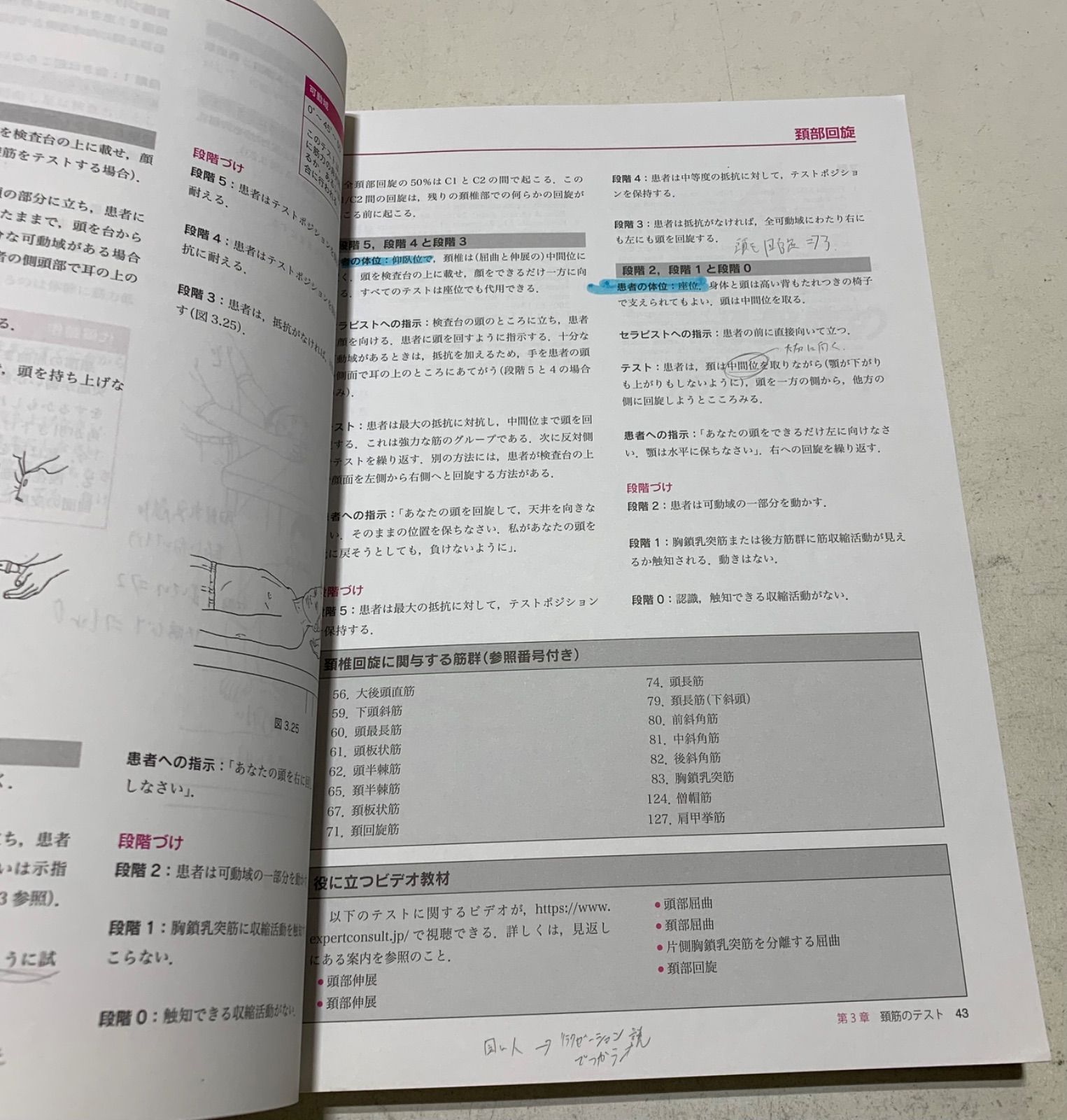 新・徒手筋力検査法　原著第10版　WEB動画付 Amazon.co.jp: 新・徒手筋力検査法 原著第10版[Web動画付