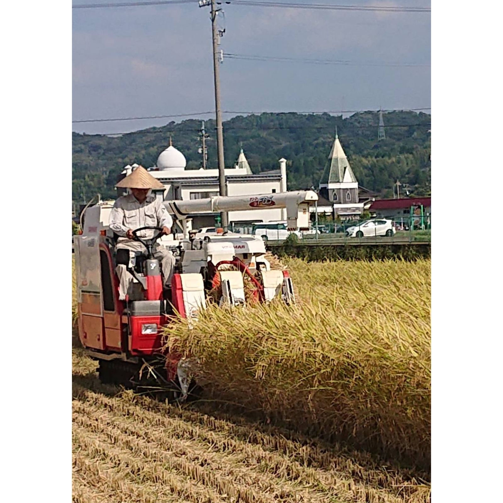 R6年富山県産コシヒカリ玄米5kg×4袋✳️関東､東海､信越､関西地域限定 