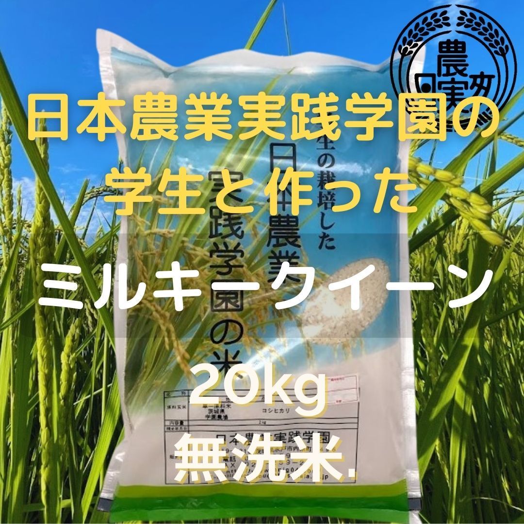 農業学校の【ミルキークイーン】20kg無洗米【令和5年産新米】新米20キロ販売再開9月下旬予定