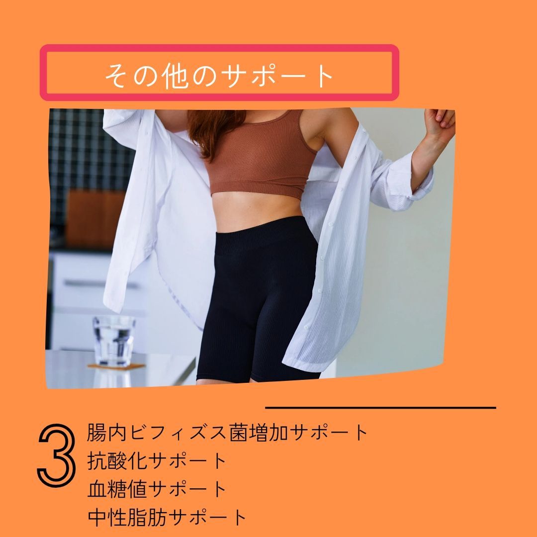 脂質が多い食事の時私も飲んでいます　ダイエット食物繊維　脂肪　健康　お腹　ウエスト　太り　ダイエット　メタボ　痩身　抗酸化　こんにゃく　産後　ガルシニア　白いんげん　ギムネマ　サプリ　ワンデイクレンズ　美容　50代　40代　30代　20代　ダイエットティー