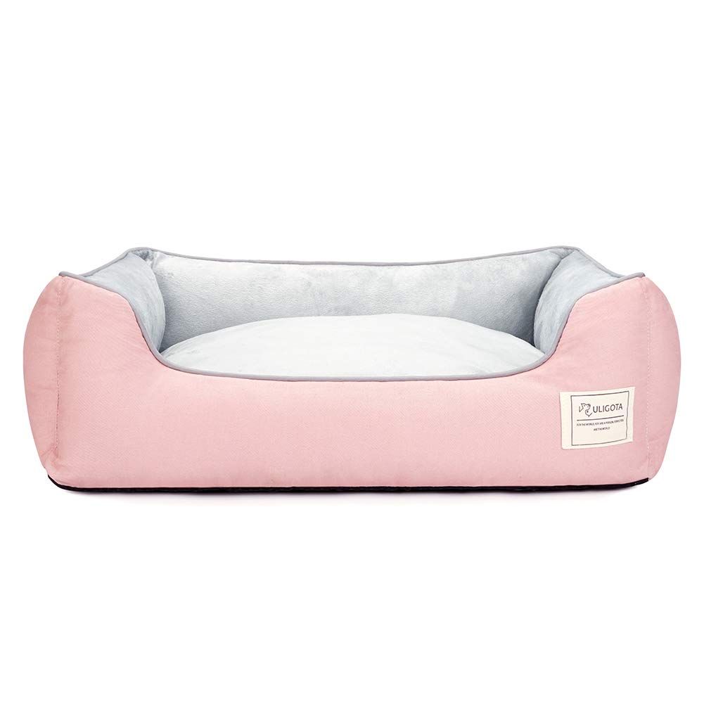 レンズと 80,000 ルーメンのライト付きV1 Pro MAX 拡大鏡