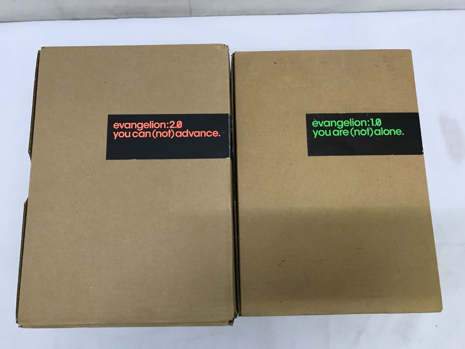 エヴァンゲリオン 全記録全集 序破 2冊セット 【公式通販】