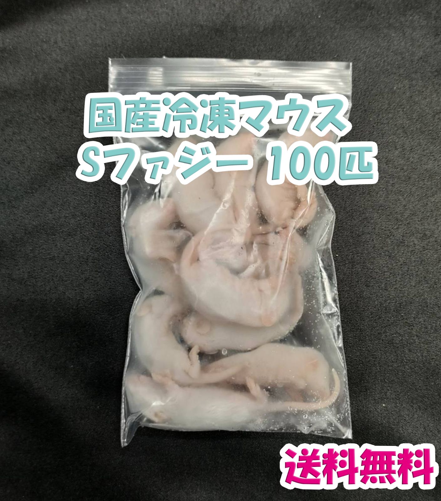 国産冷凍マウス ファジー 100匹 (地域限定送料無料) - 爬虫類・両生類