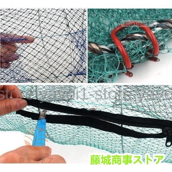 タコ エビ
