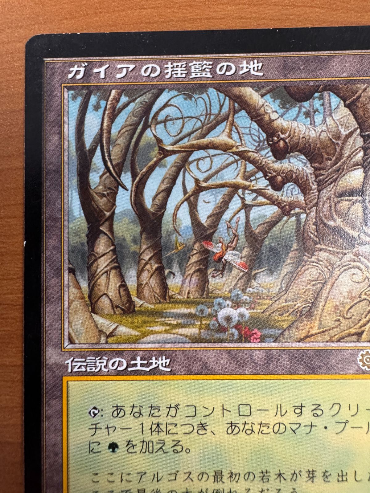 MTG マジックザギャザリング　MTGまとめ売り　ガイアの揺籃の地 MTG マジックザギャザリング MTGまとめ売り ガイアの揺籃の地 ☆値下げ中☆