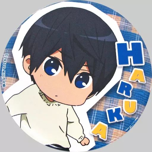 中古】バッジ・ピンズ(キャラクター) 七瀬遙 「特別版 Free!-Take Your