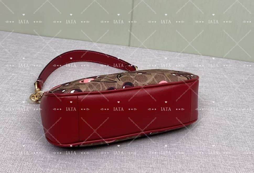 COACH アンダーアームバッグ ショルダーバッグ CY694 - メルカリ 