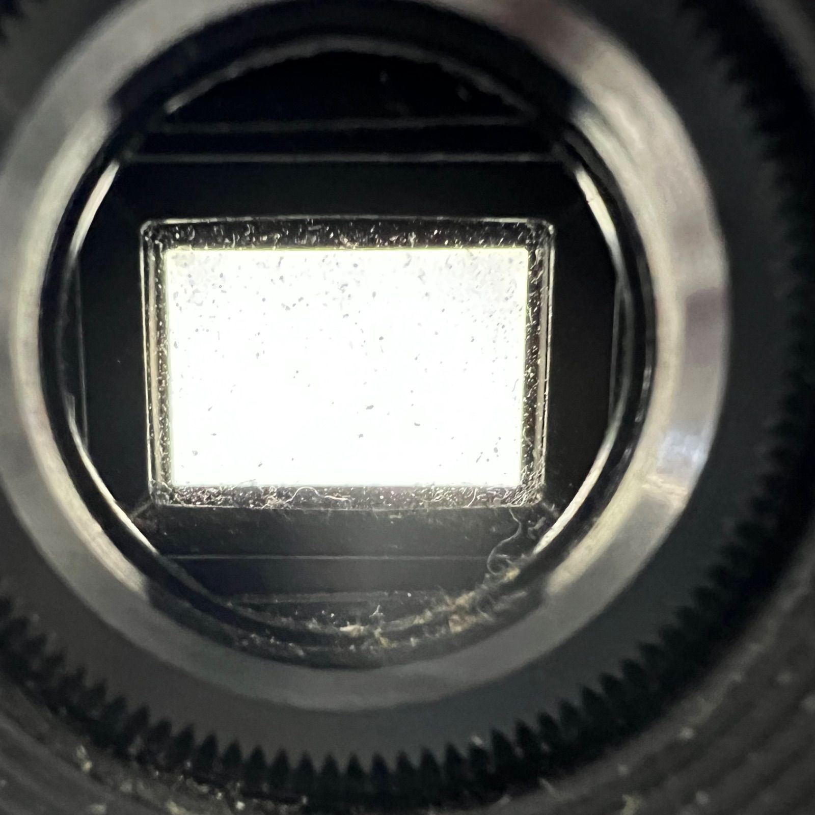 ボディコンタックス