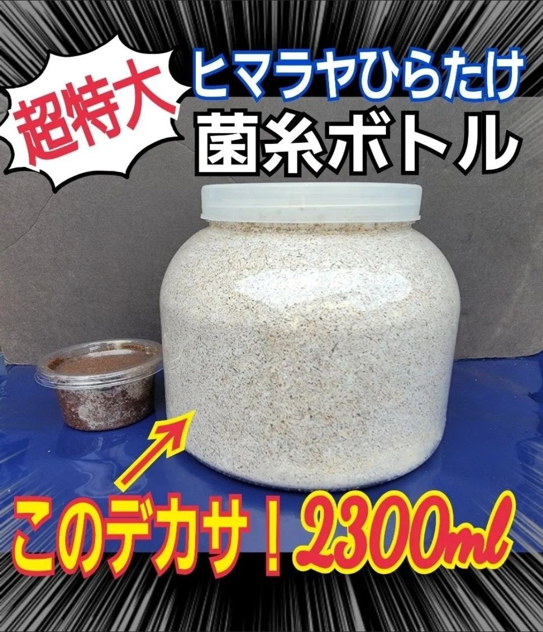 昆虫用品 超特大2300ml【3本】ヒマラヤひらたけ菌糸瓶☆90ミリ以上