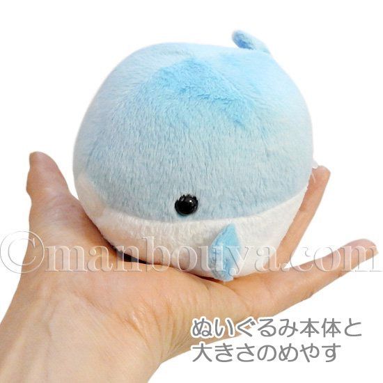 海の生き物 おもちゃ ぬいぐるみ イカ A-SHOW（栄商）ムニュマムXL 烏賊 32cm まんぼう屋 (AS-7596) : 海のいきもの ぬいぐるみ A-SHOW ムニュマム お手玉