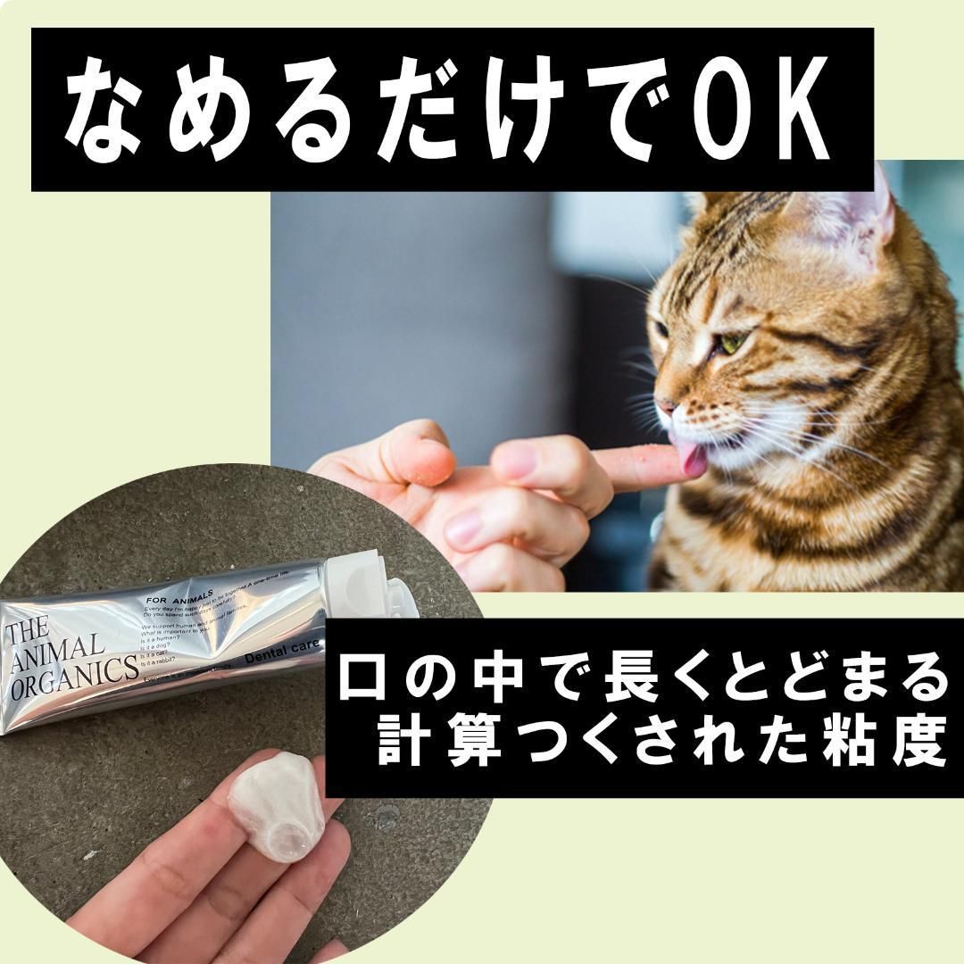 口腔ケアジェル 犬、猫用 30g - お手入れ用品