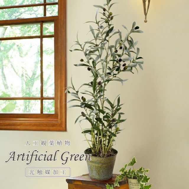 クーポン配布中-スーパー 対象 オシャレで枯れない人工観葉植物 オリーブツリーグラスバケット 106 代引不可