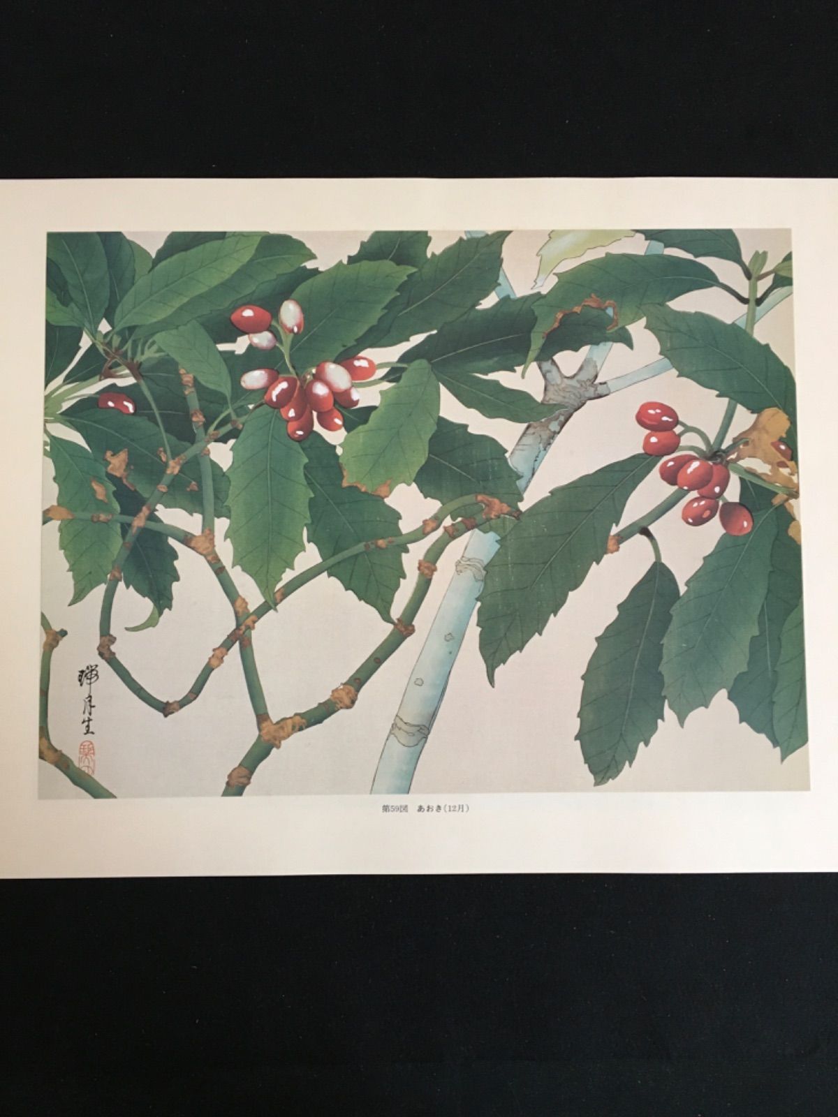 瑞月草花画譜 - メルカリ