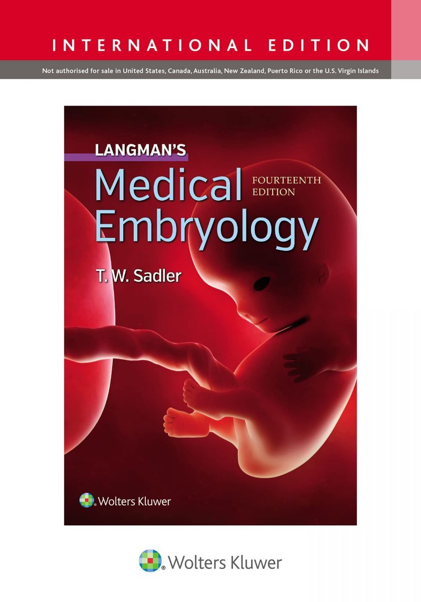 Langman´s Medical Embryology [ペーパーバック] Sadler PhD， Dr. T.W.