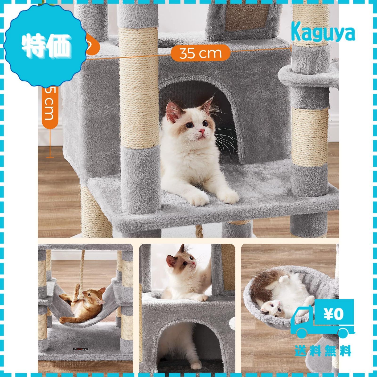 大型猫用 人気