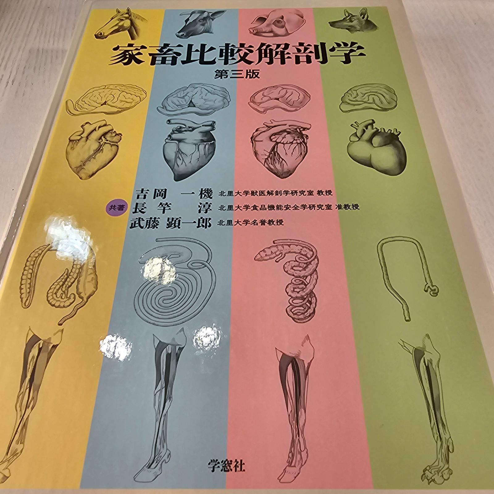 家畜比較解剖学 | 見上晋一 |本 | 通販 | Amazon