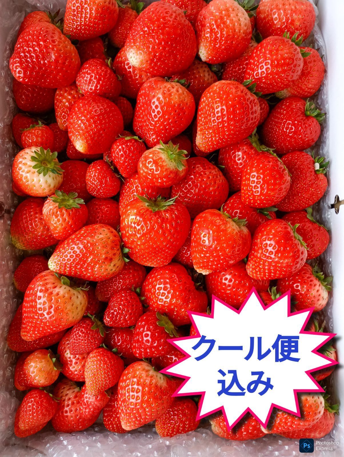 クール便込み 大量約6kg 栃木県産とちあいか 規格外のため 甘くて酸味が少ない品種です