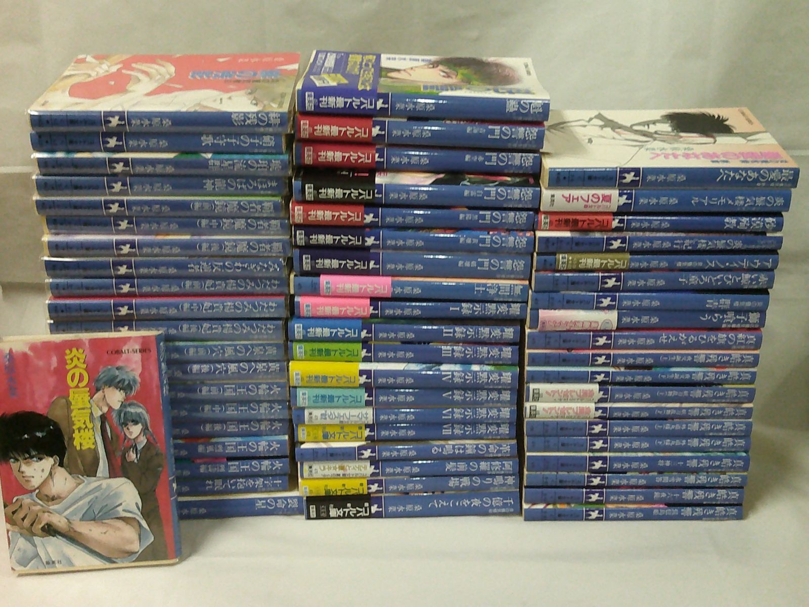 炎の蜃気楼シリーズ 20冊 桑原水菜 炎の蜃気楼シリーズ 全巻 + 番外7