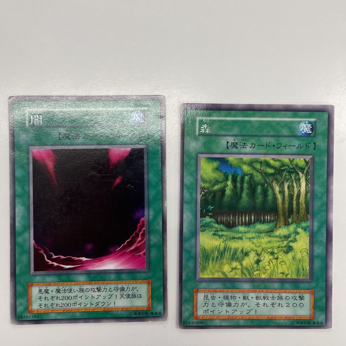 め15 42 遊戯王 カード トーディングカード 初期 フィールド魔法