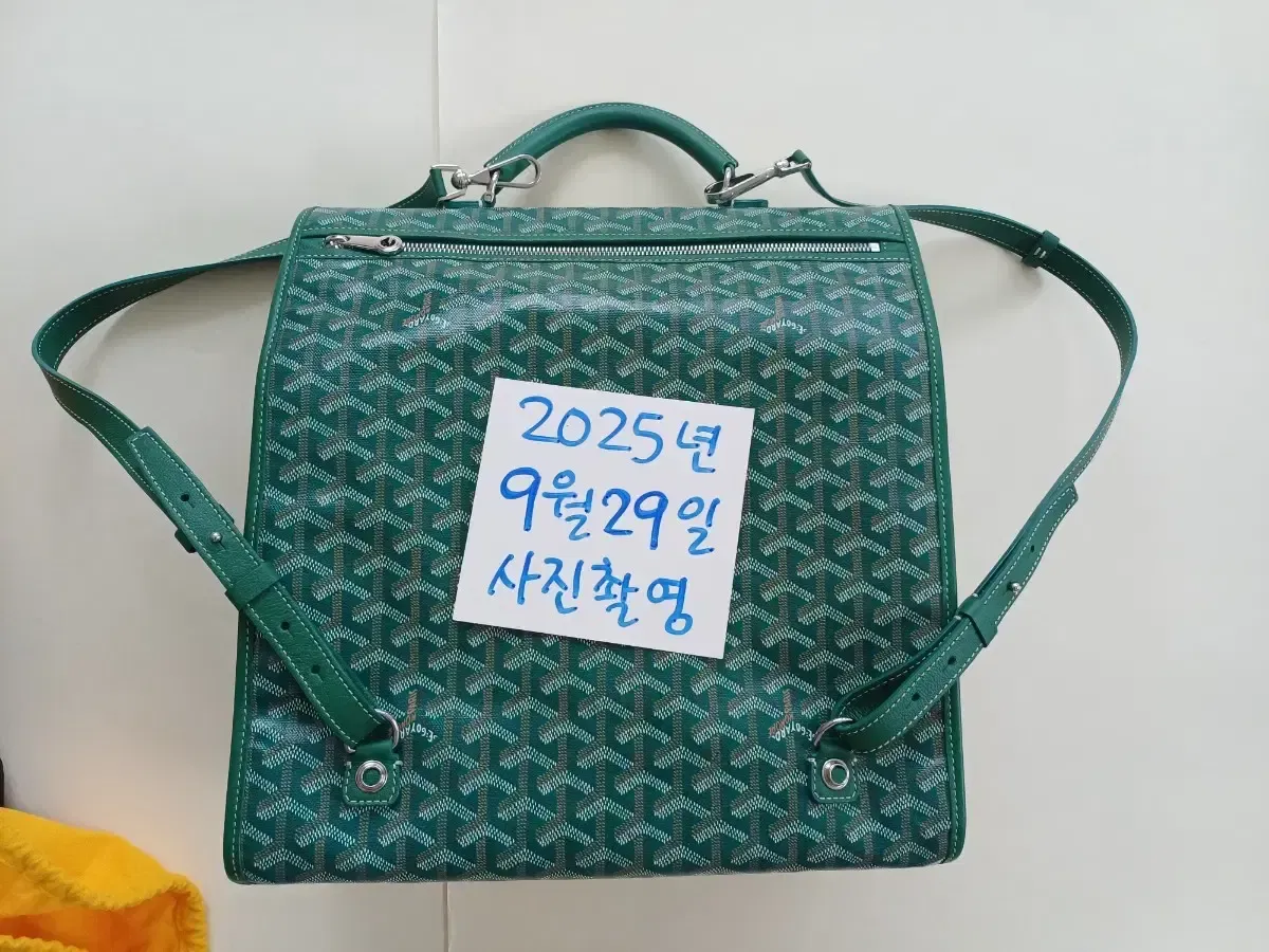 2025年最新】GOYARD リュック・バックパックの人気アイテム