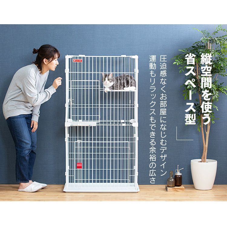 大型