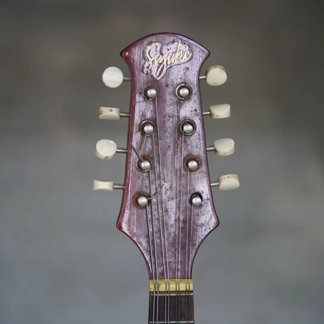 鈴木バイオリン　マンドリン　no.100 SUZUKI VIOLIN ( スズキバイオリン ) M-100 マンドリン 送料無料