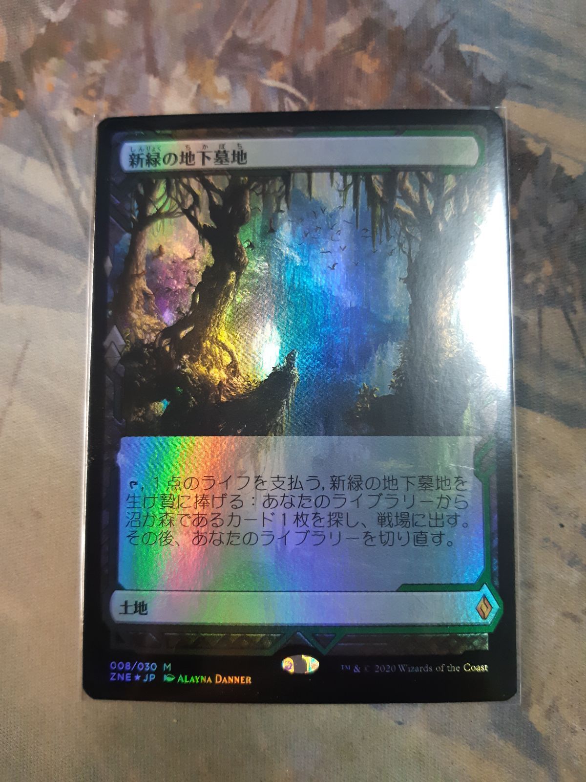 超高品質で人気の MTG 湿地の干潟、地下墓地日本語 4枚セット マジック 