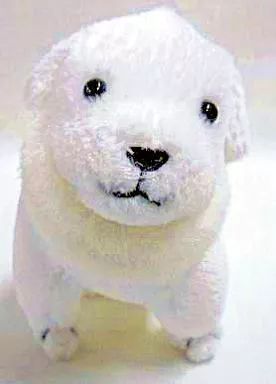 中古】ぬいぐるみ ただきちさん 「あずまんが大王 ちびぬいあずまんが」