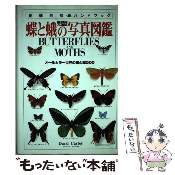 全商品オープニング価格！ トピカルテーマ：蝶や蛾を描く、ガンビア 未