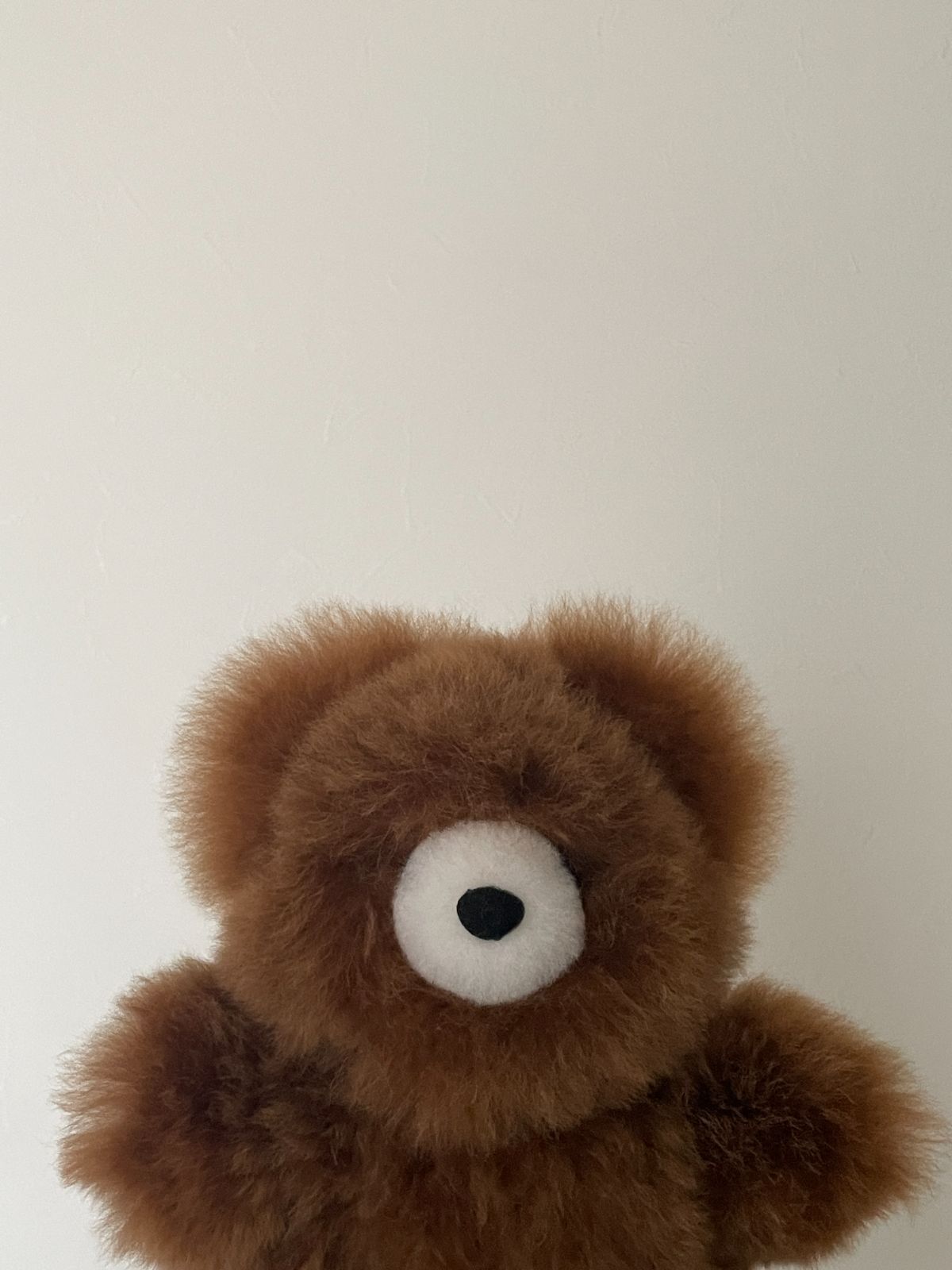 alpaca teddy bear - large - 購入特典