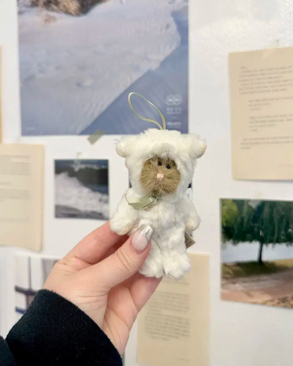 はにくま ボーイズベア 小さい 羊