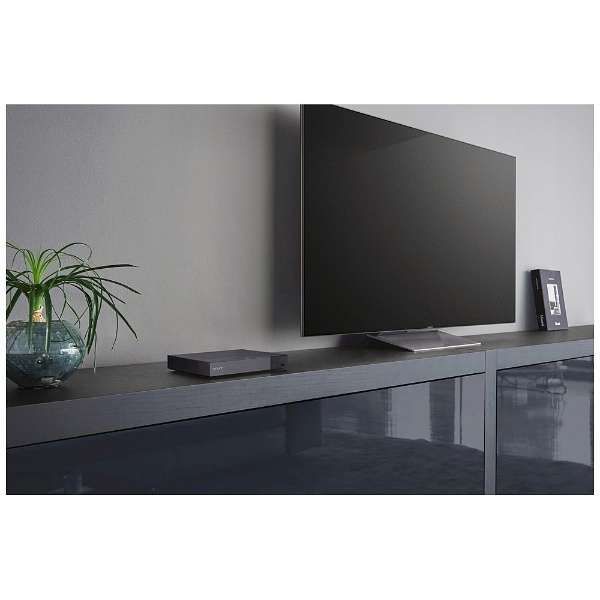 ソニー ブルーレイプレーヤー(再生専用機) SONY BDP-S1500 返品種別A BDP-S1500 | ブルーレイディスクプレーヤー／DVDプレーヤー | ソニー