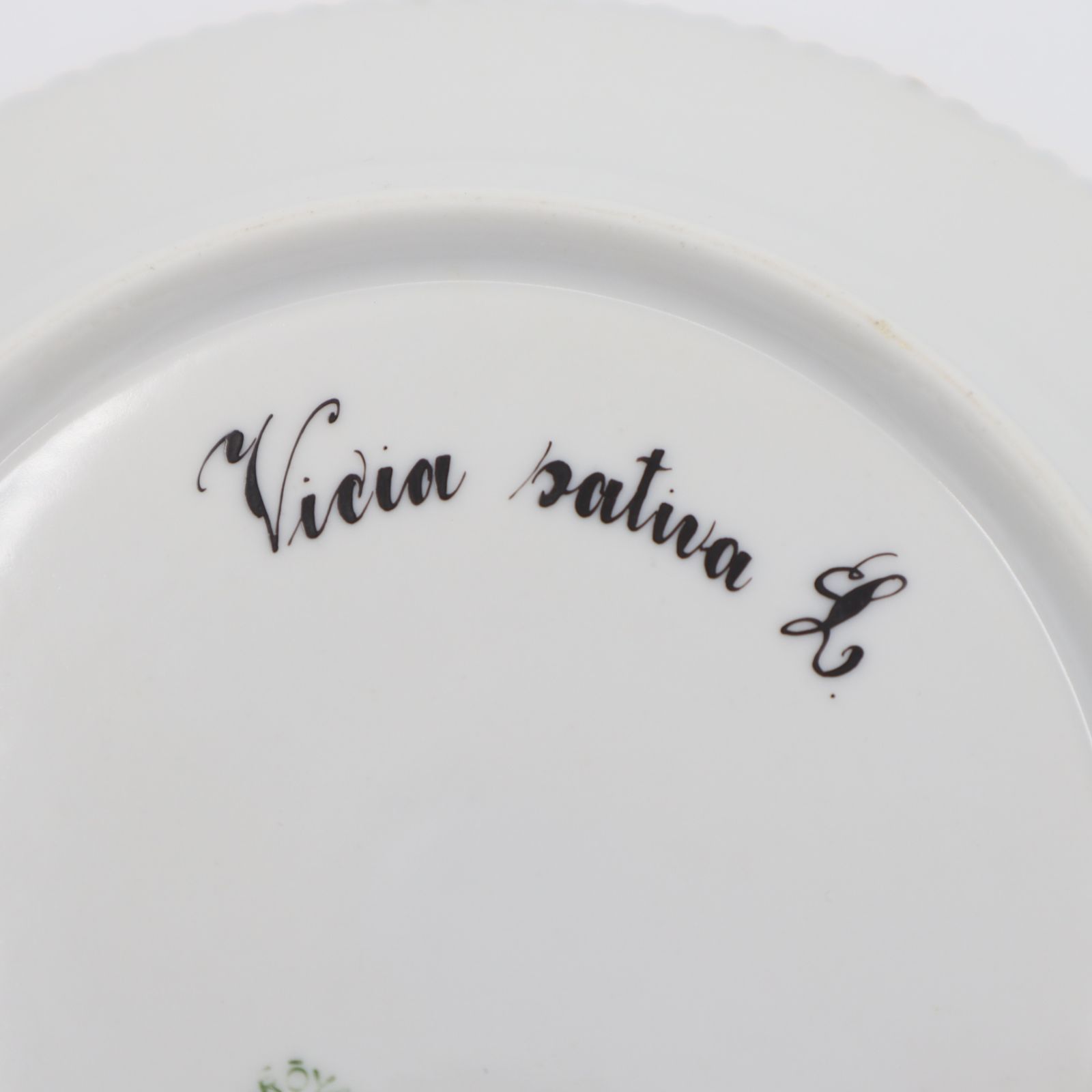 ROYAL COPENHAGEN ロイヤルコペンハーゲン フローラダニカ 17cm お皿 洋食器 プレート k1263 WWW_SKLAD-KIRPICHA_RU