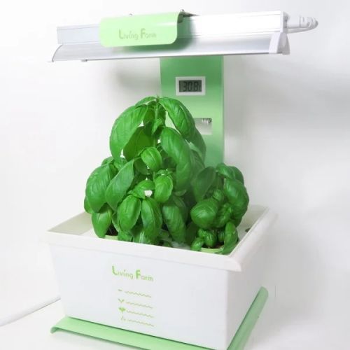 メーカー直送 小型水耕栽培器