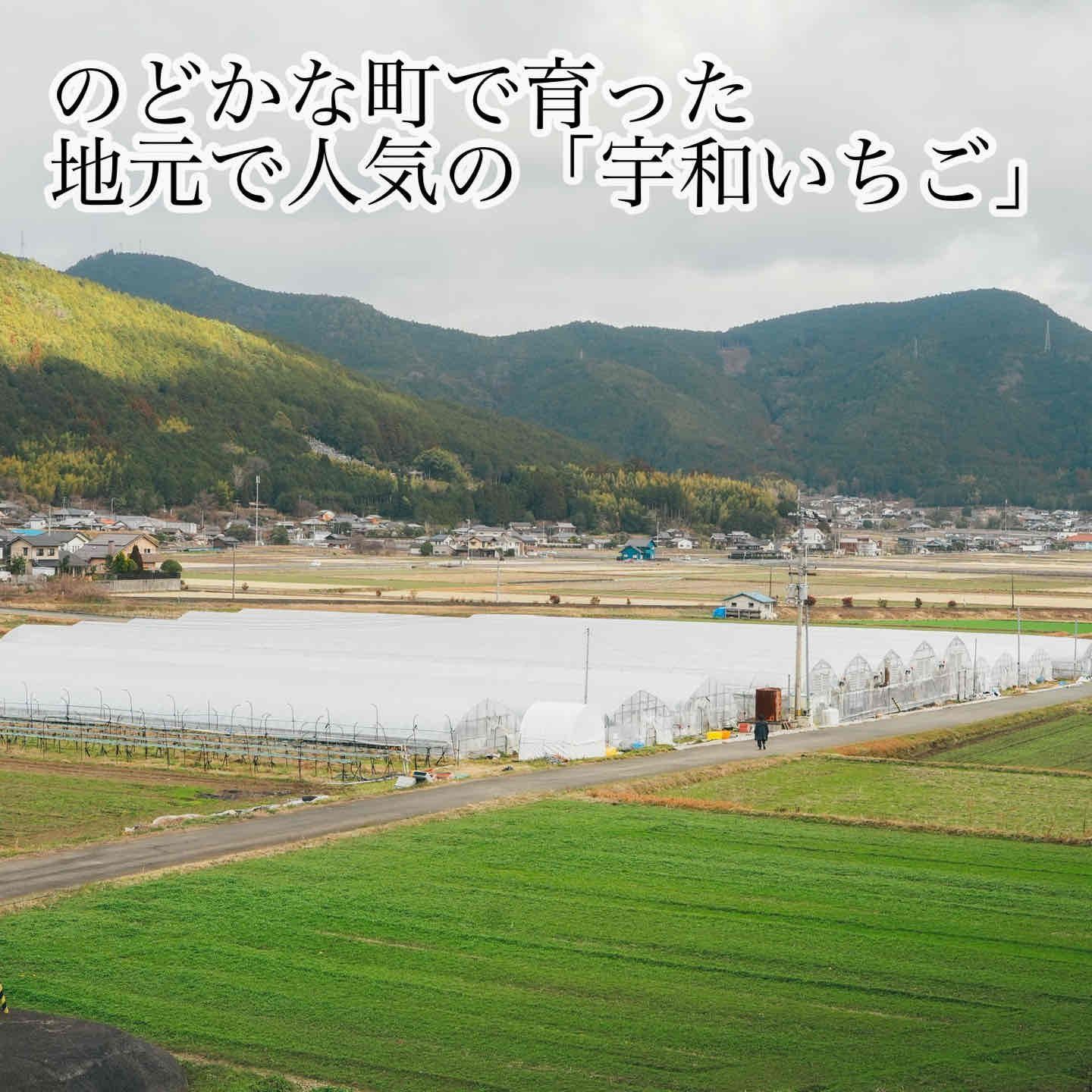 ⑤箱クール