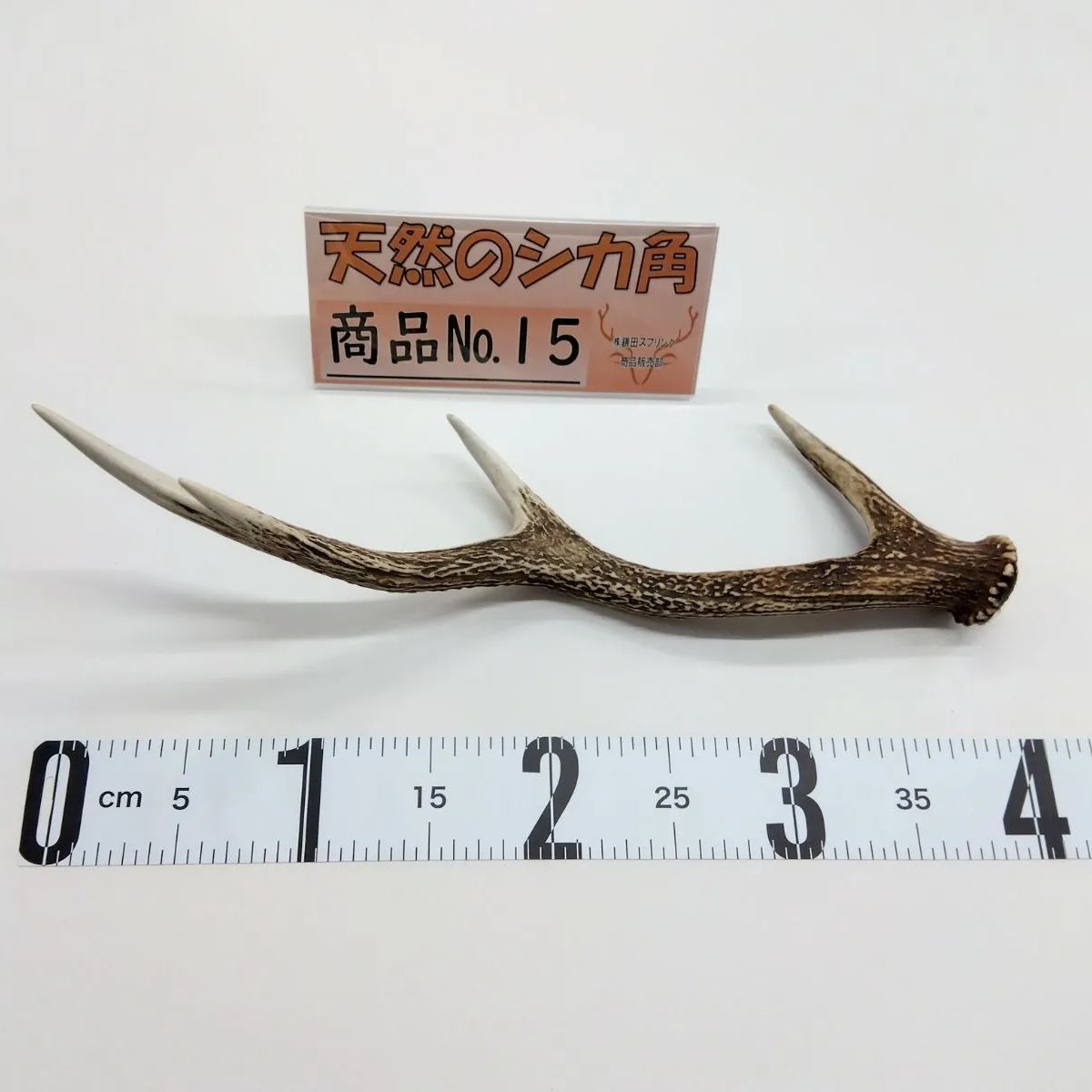 天然 鹿の角 三段角 No.15 - メルカリ