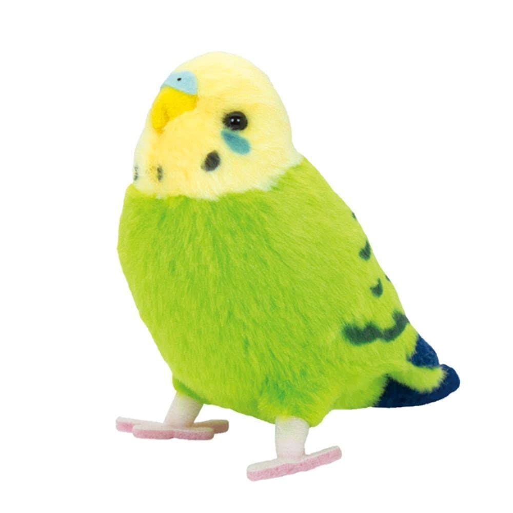 トップ インコ ファンデーション