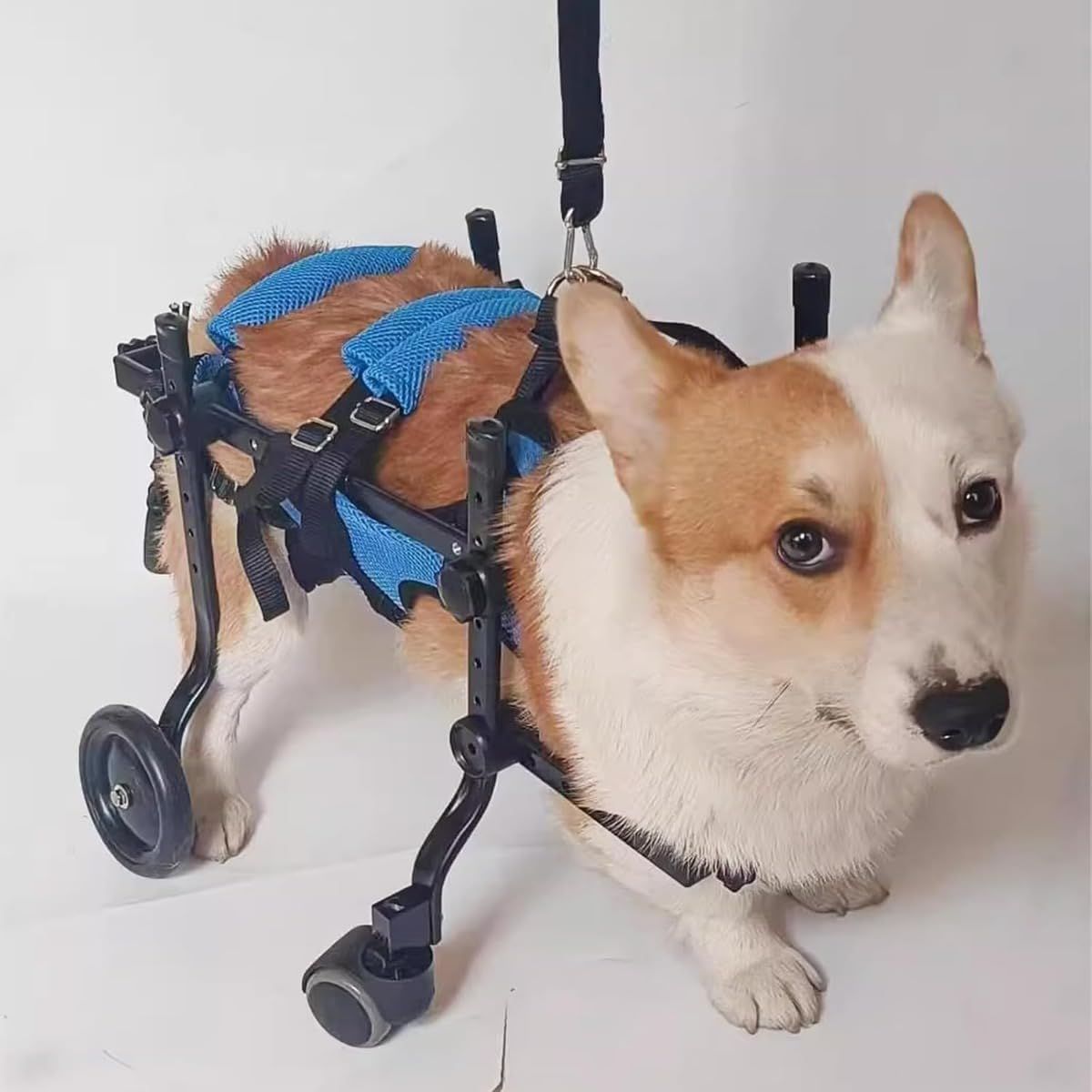 コーギー4輪 リハビリ 食事補助 犬用車椅子 介護用品 犬の歩行器 【2個