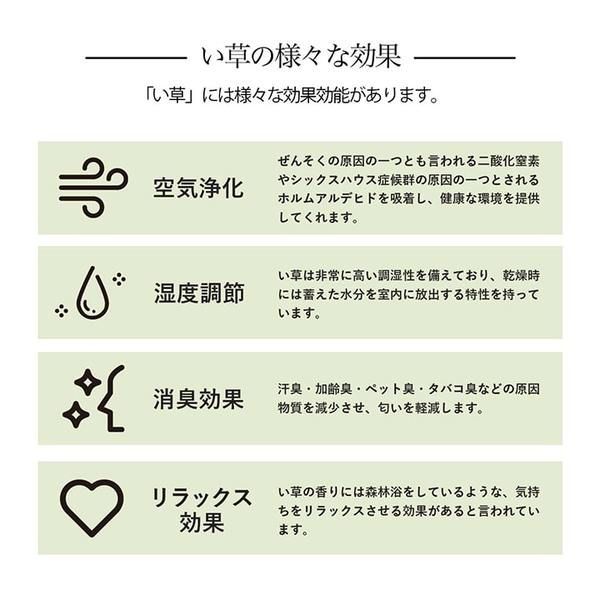 い草ラグ 花ござ カーペット 格子柄 ナチュラル シンプル 和室 洋室 裏不織布滑り止め 滑りにくい 抗菌防臭 消臭 本間6畳(約286×382cm) レイクブルー