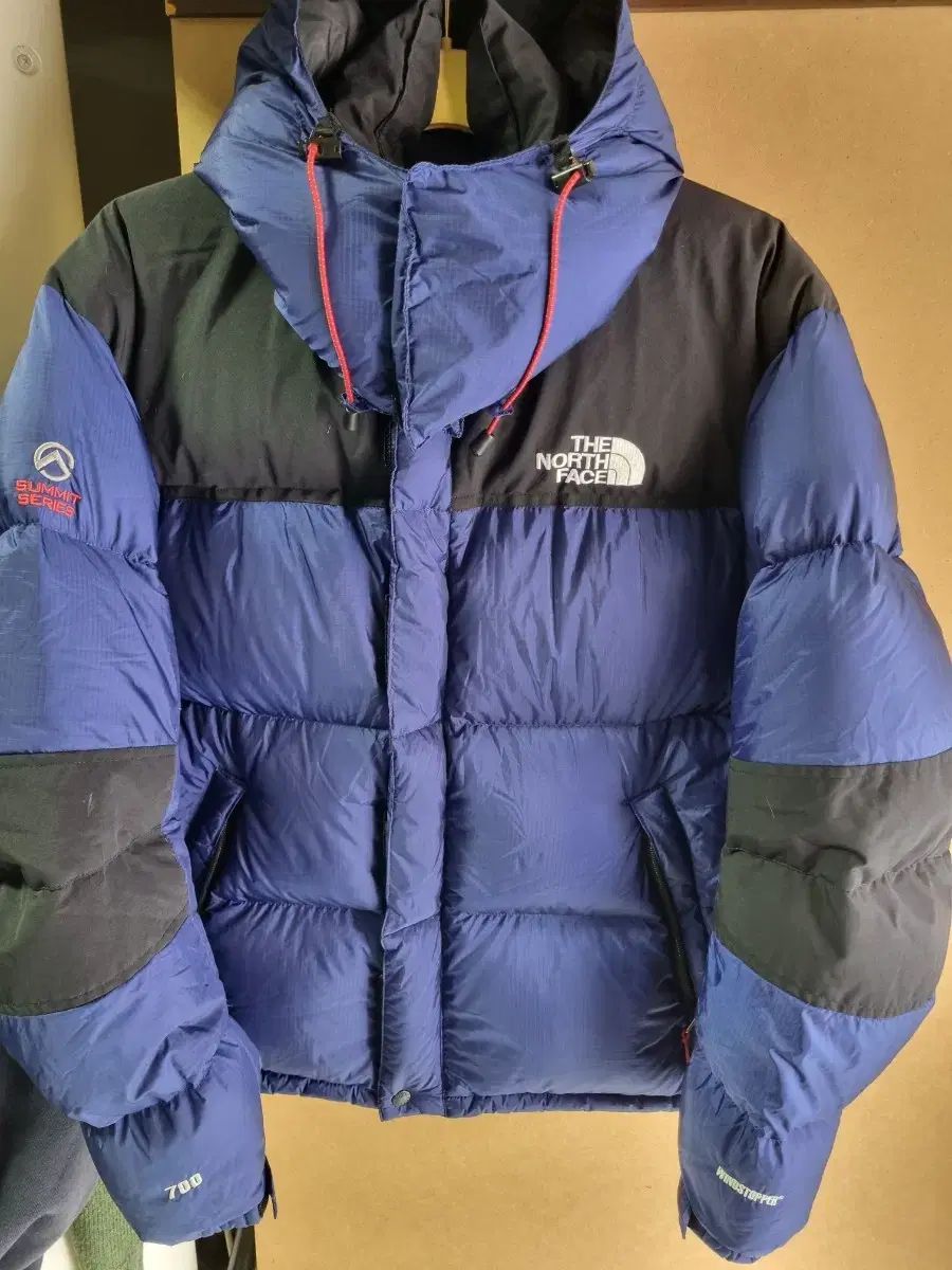 THE NORTH FACE(ザノースフェイス) サミット 700 フィル グース
