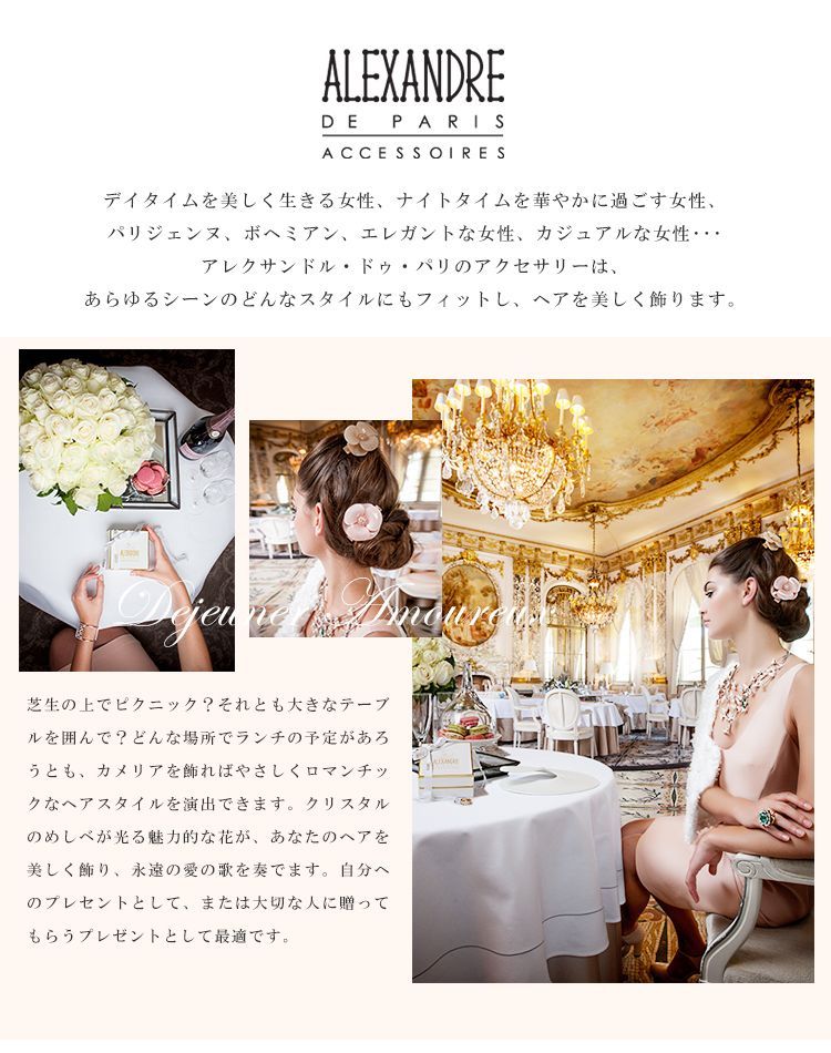 訳あり 新品未使用 アレクサンドル ドゥ パリ ゴム ヘアゴム 髪